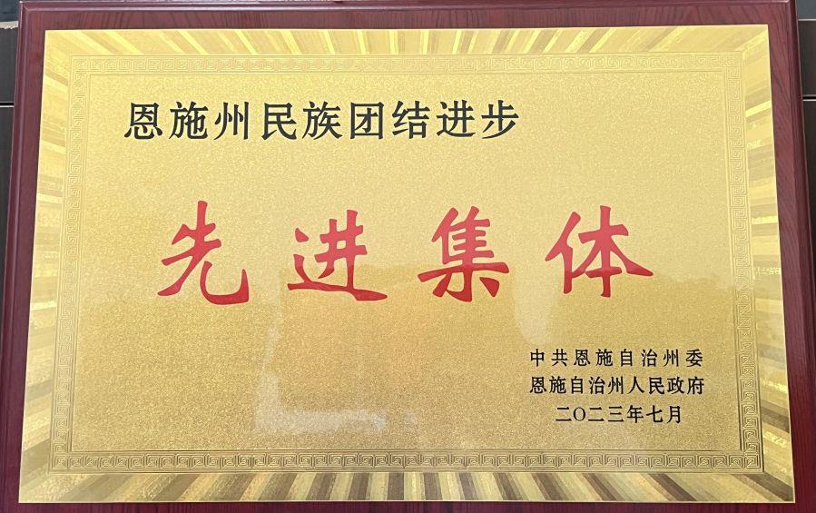 “恩施州民族團(tuán)結(jié)先進(jìn)集體”稱號 “恩施州民族團(tuán)結(jié)先進(jìn)集體”稱號
